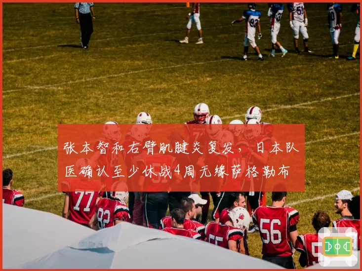 张本智和右臂肌腱炎复发，日本队医确认至少休战4周无缘萨格勒布